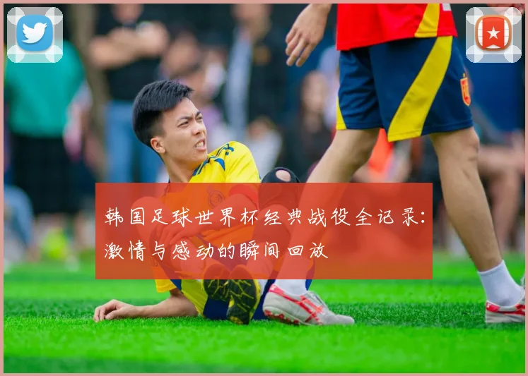 韩国足球世界杯经典战役全记录：激情与感动的瞬间回放