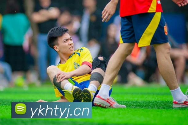 多媒体互动体验